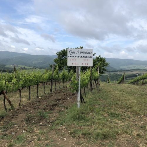 Chianti wine production