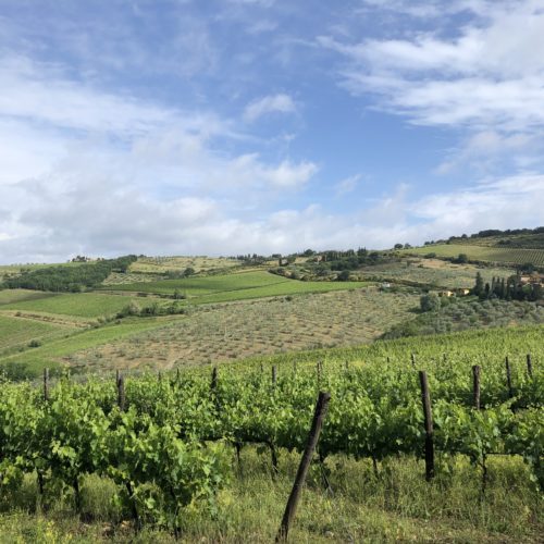 Chianti vineyard hike