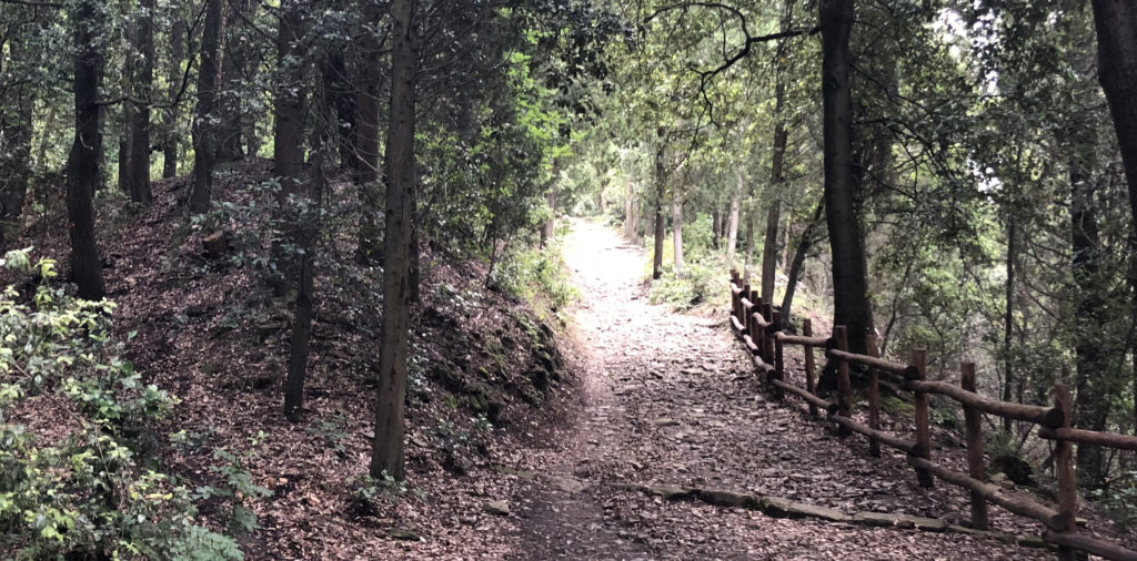 paths hiking tuscany