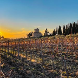 Chianti Classico wine trek