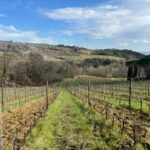 San Gimignano Wine trekking 