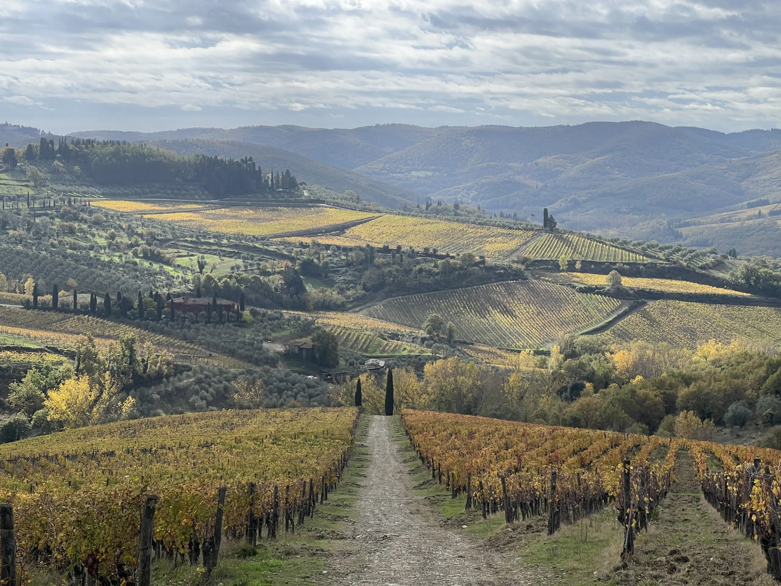 Private guided tour in Tuscany with Out of the Box Florence