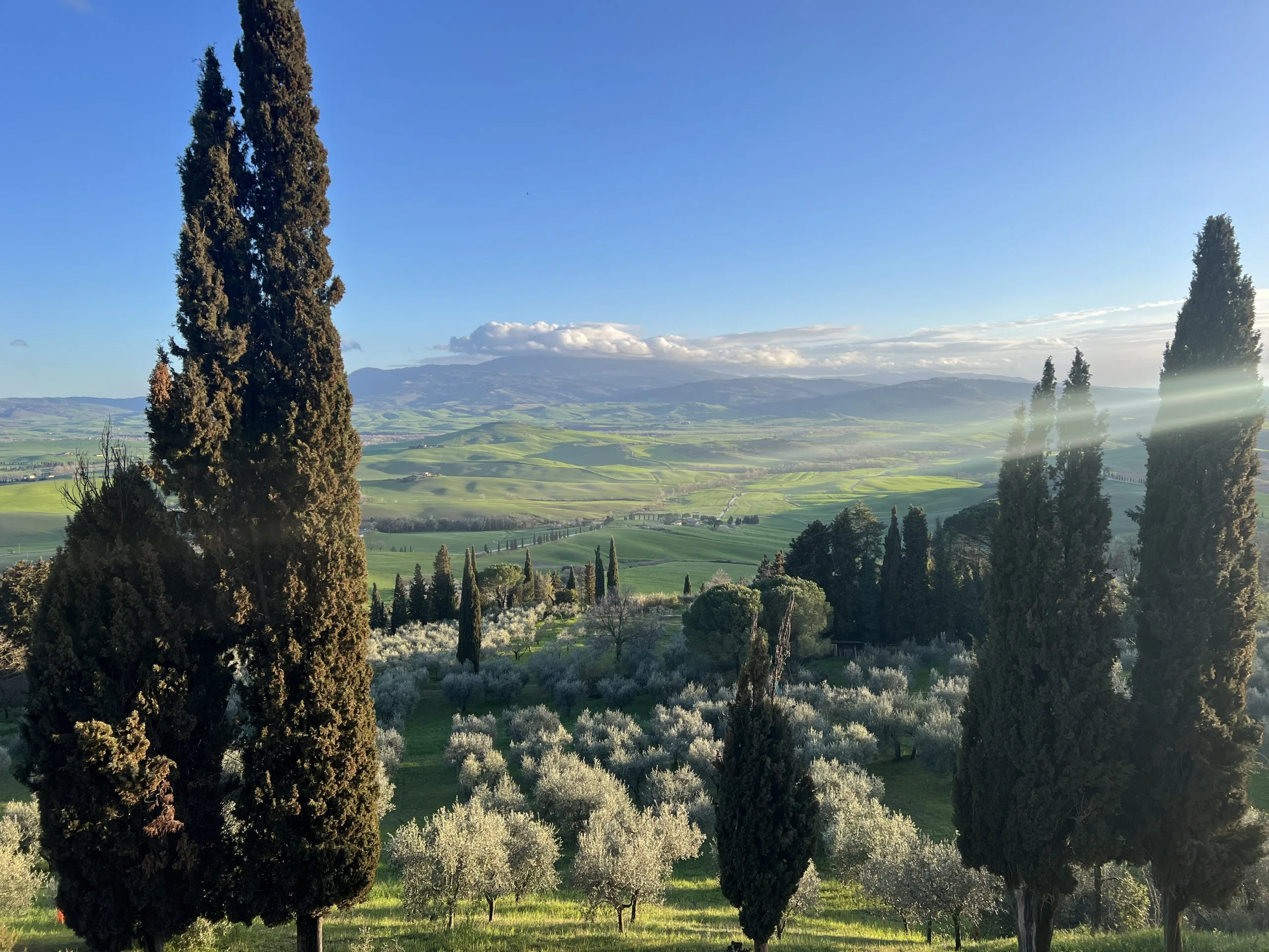 Private val d'Orcia and Brunello tour - View val d'Orcia from Pienza