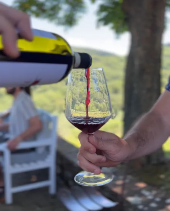 Wine tasting at family organic winery in Chianti Classico, Florence day tour