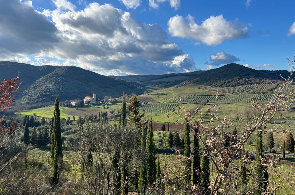 Small group of travellers tasting wine at an organic Chianti Classico winery with a local guide, far from any bus tour crowds