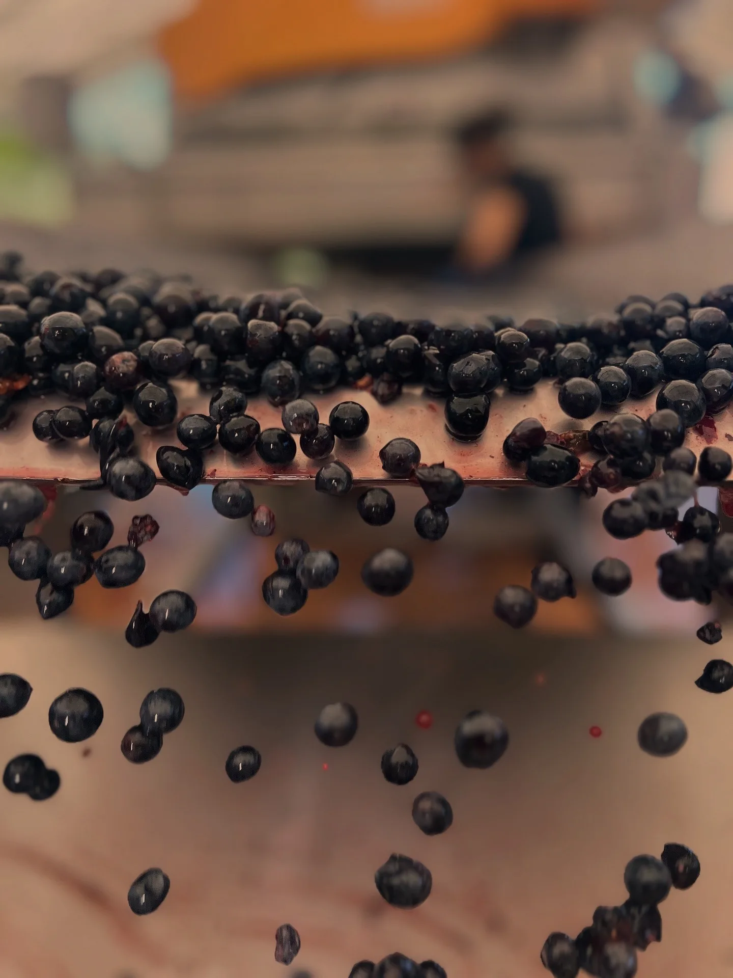 Wine making process tuscany Chianti Classico
