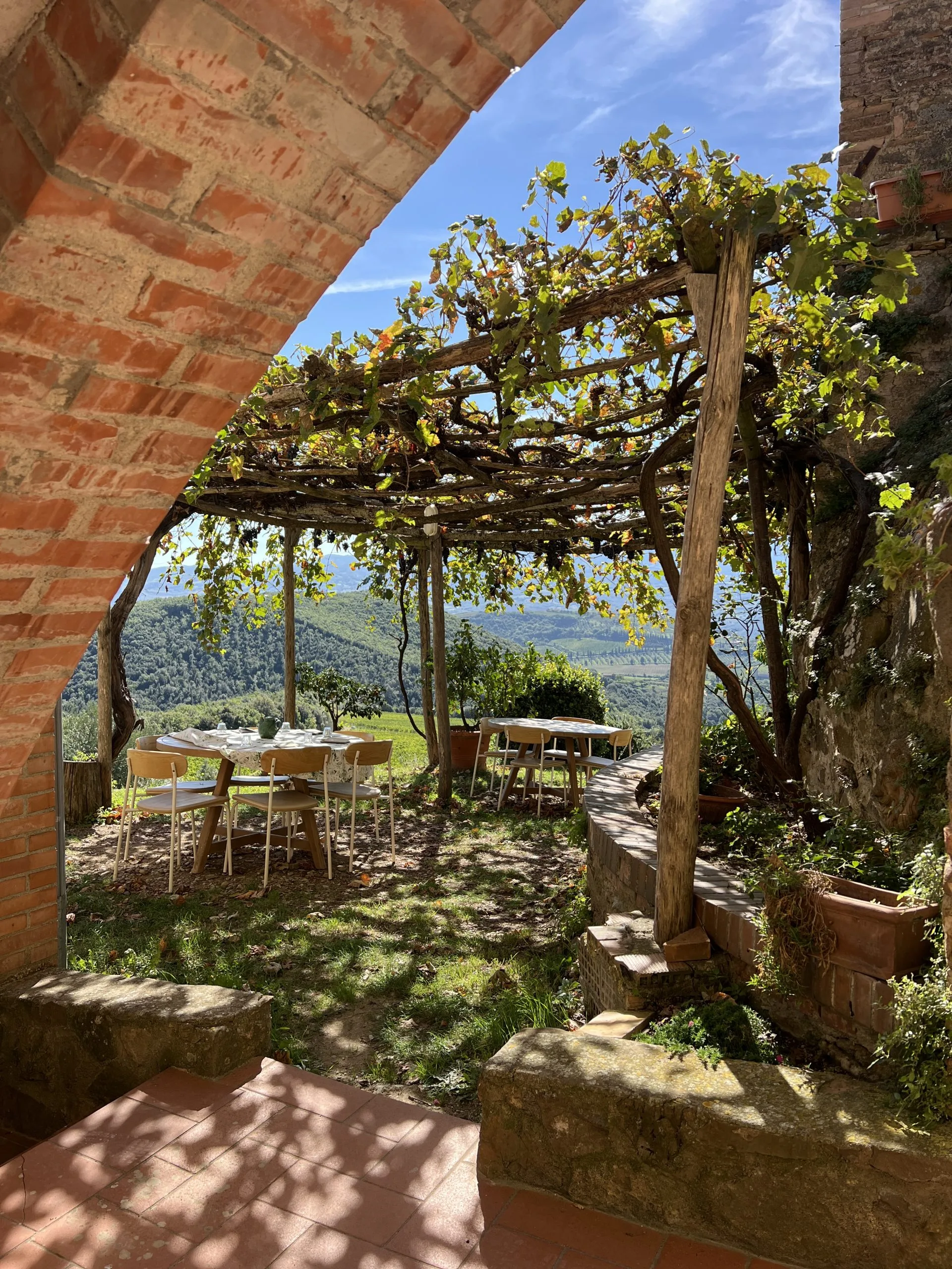 Brunello wine tasting