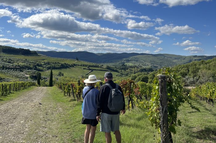 Hike through Chianti Classico vineyards with guide, Panzano in Chianti, Tuscany