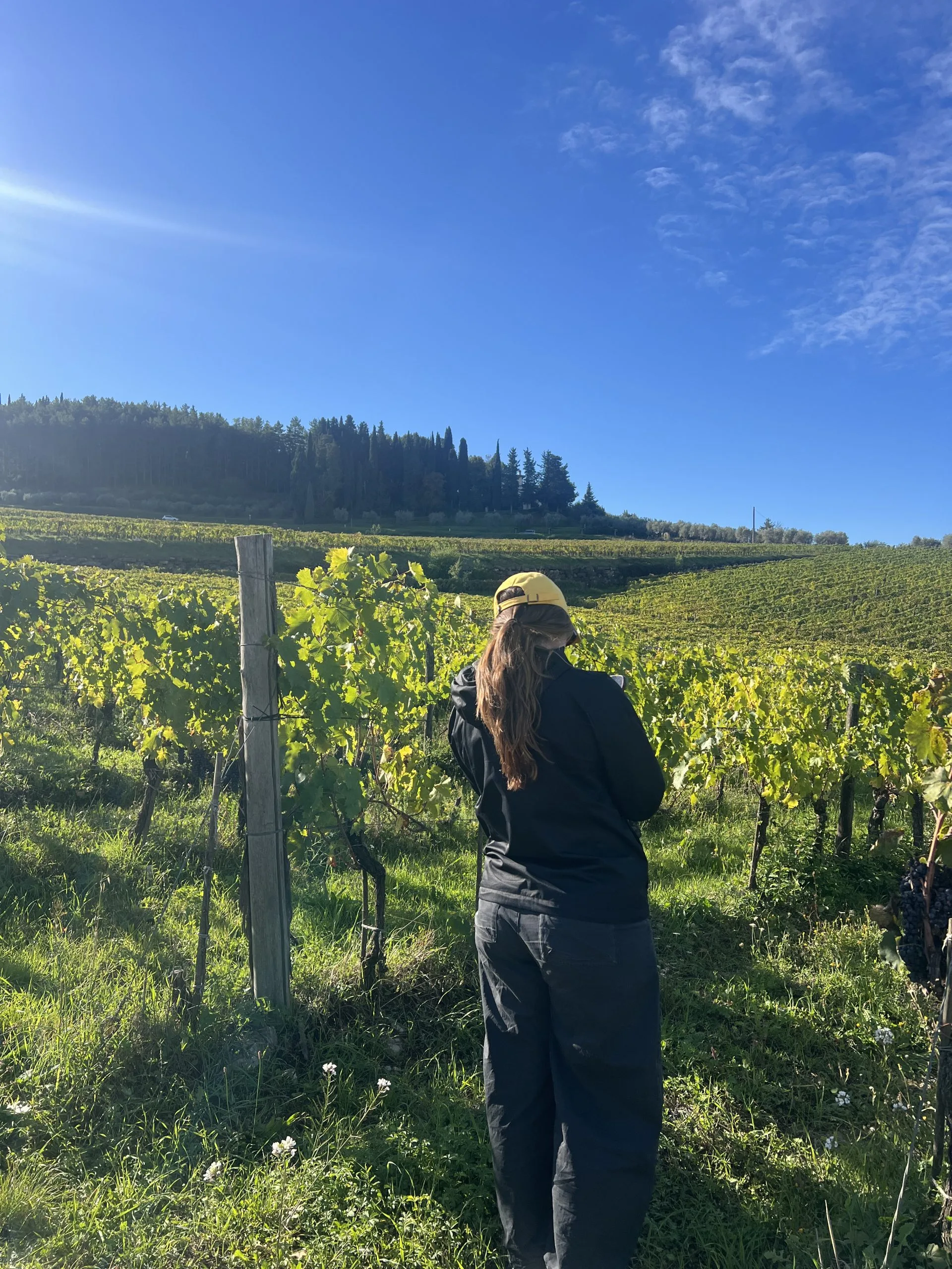 hiking in Tuscany - Chianti Classico hiking and wine tour from Florence