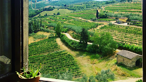 Private and semi-private Tuscany and Florence tours - Your Local Travel Experts -Out of the Box Florence place picture